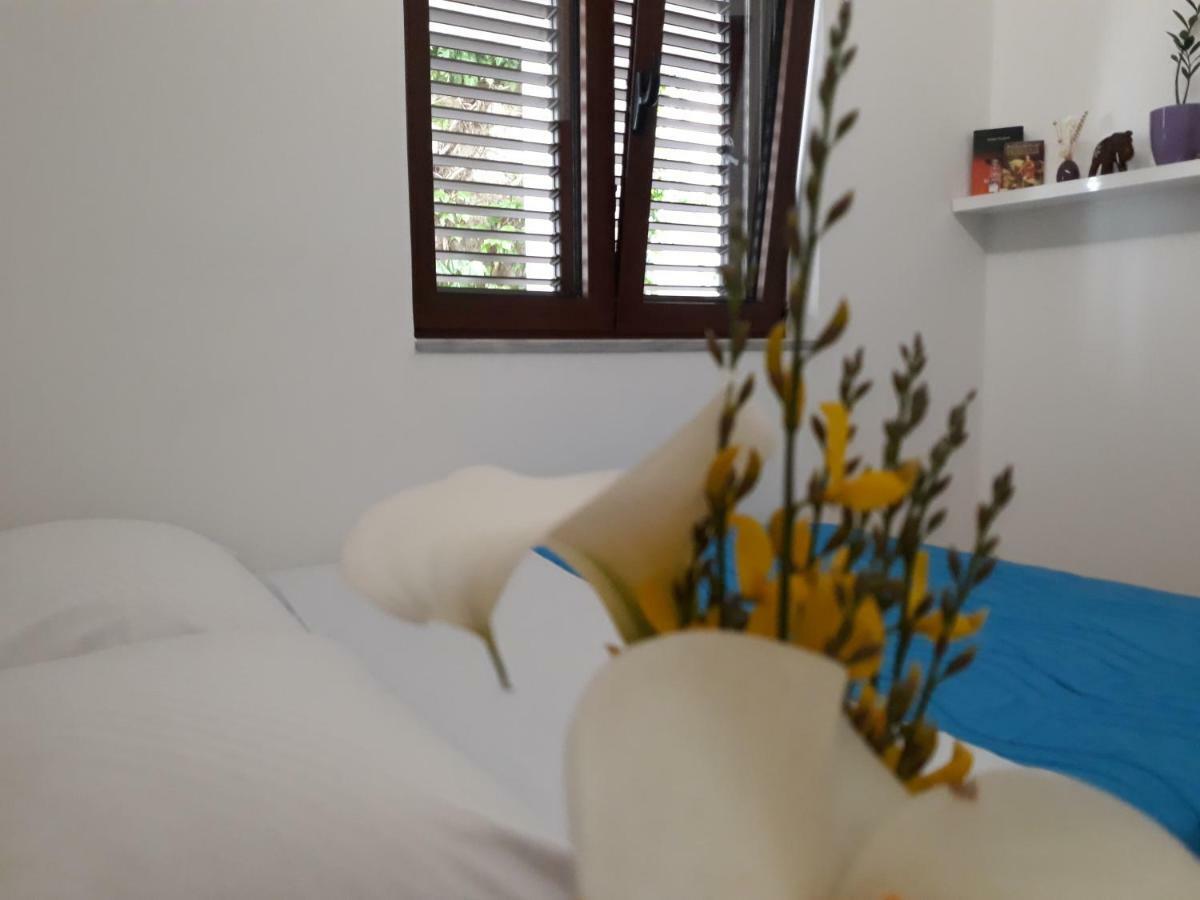 Apartments Ardura Petrovac Екстериор снимка